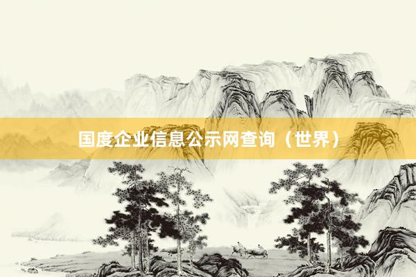 国度企业信息公示网查询（世界）