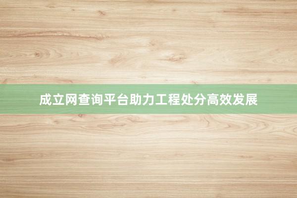 成立网查询平台助力工程处分高效发展
