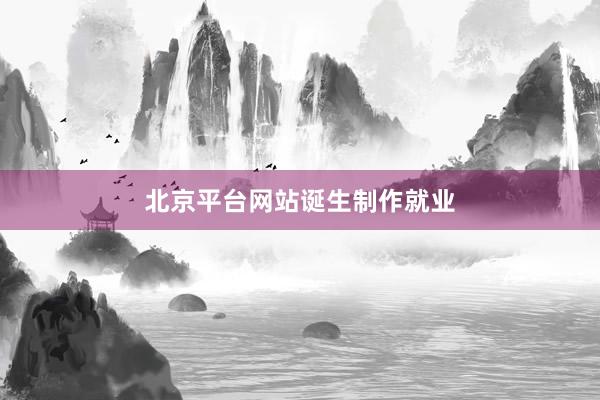 北京平台网站诞生制作就业