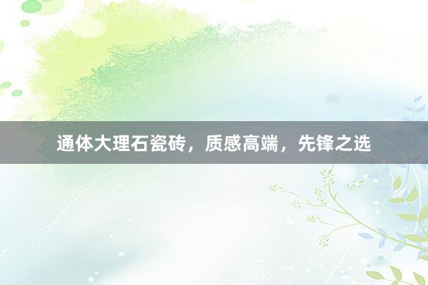 通体大理石瓷砖，质感高端，先锋之选