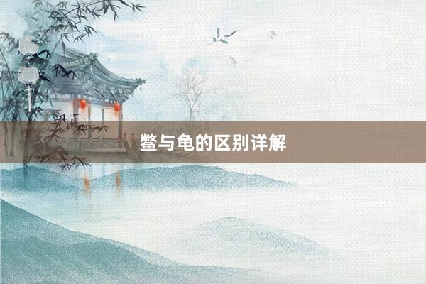 鳖与龟的区别详解